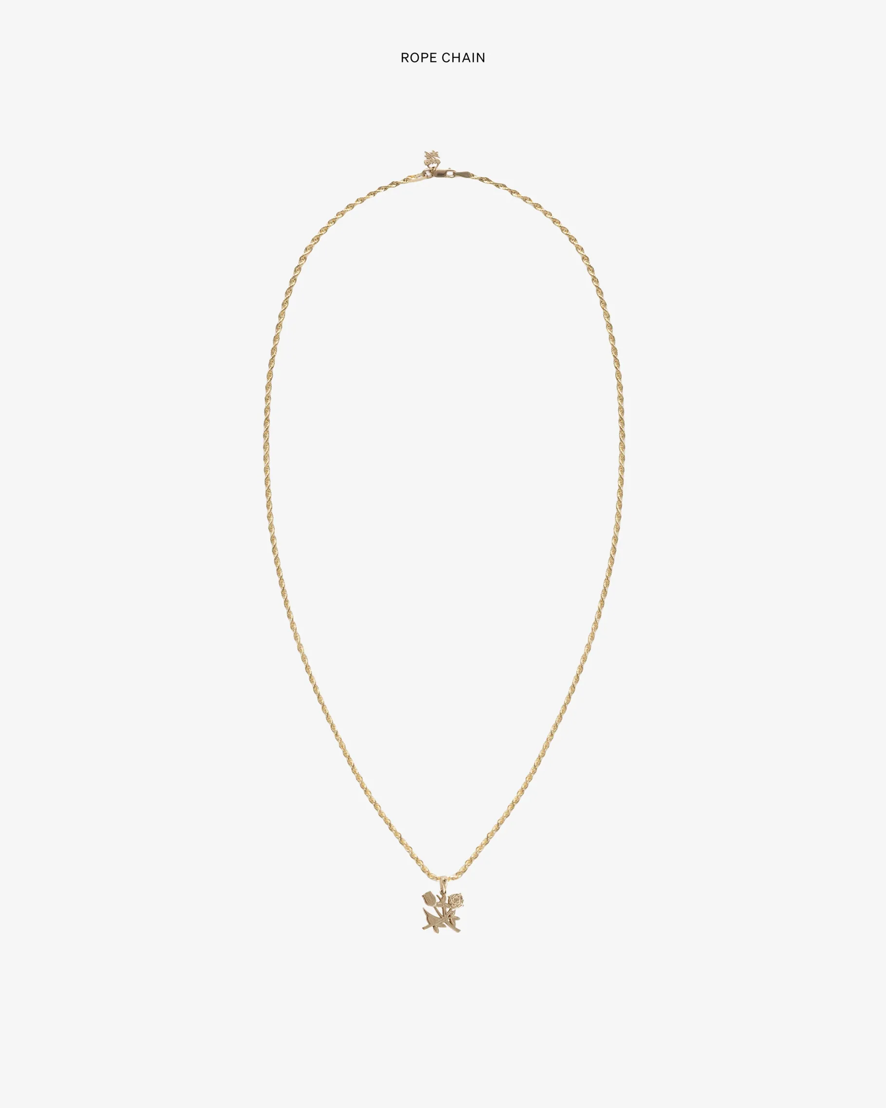 Aimé Leon Dore 14Kt Gold Pendant> Jewelry