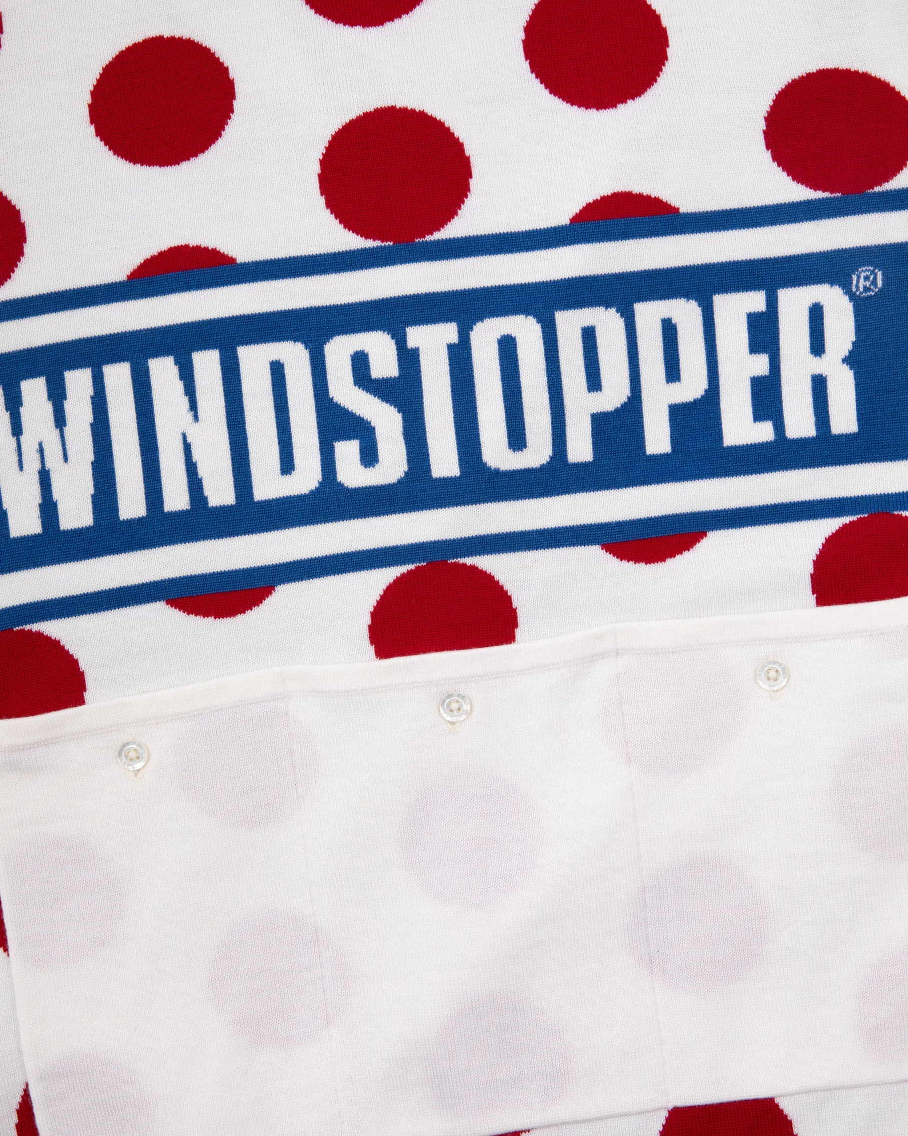 Aimé Leon Dore WINDSTOPPER® Polka Dot Knit Cycling Jersey by GORE-TEX LABS> Sweaters