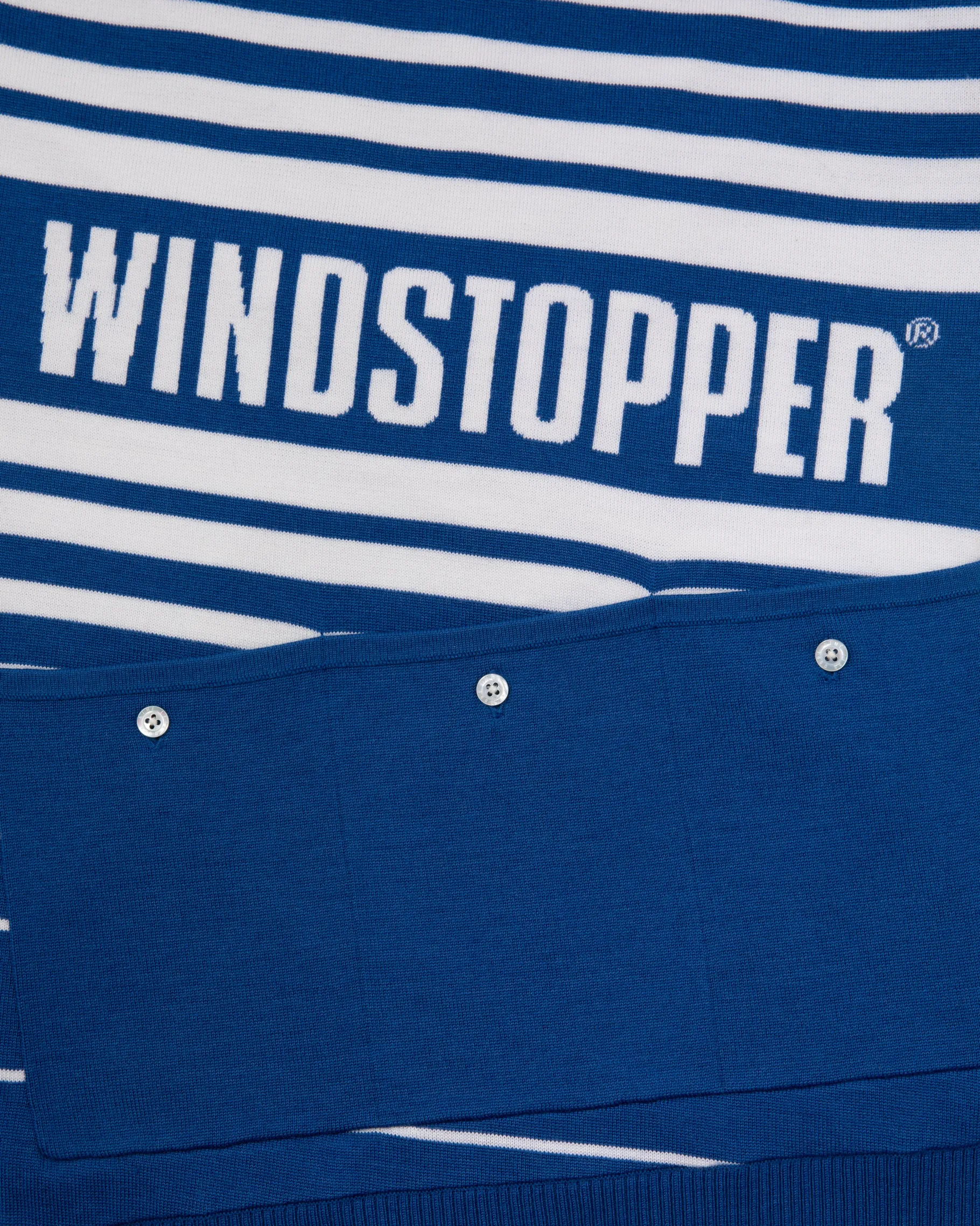 Aimé Leon Dore WINDSTOPPER® Striped Knit Cycling Jersey by GORE-TEX LABS> Sweaters